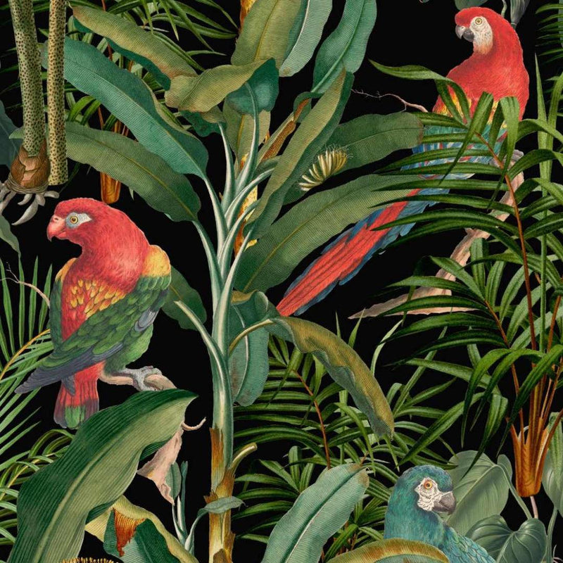 Parrots of Brasil Anthracite Wallpaper - Set of 3 Rolls - MINDTHEGAP