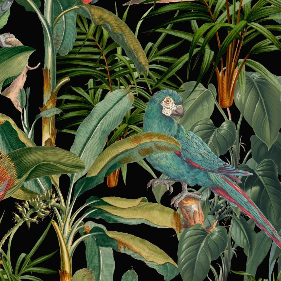 Parrots of Brasil Anthracite Wallpaper - Set of 3 Rolls - MINDTHEGAP