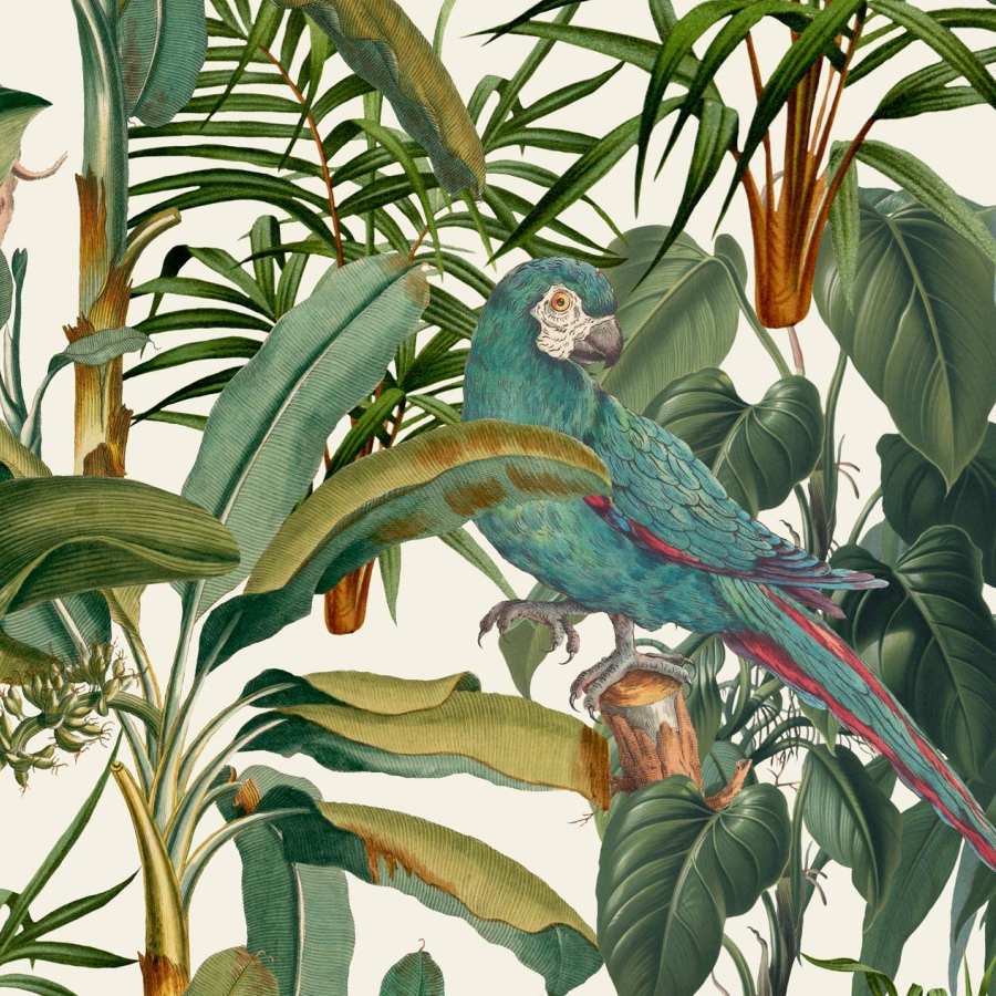 Parrots of Brasil Wallpaper - Set of 3 Rolls - MINDTHEGAP