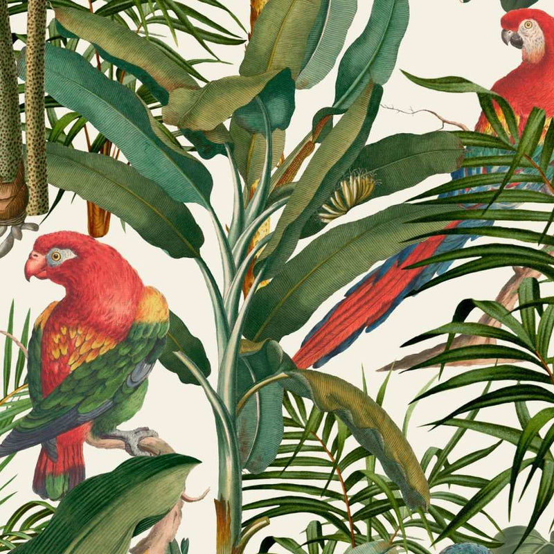 Parrots of Brasil Wallpaper - Set of 3 Rolls - MINDTHEGAP