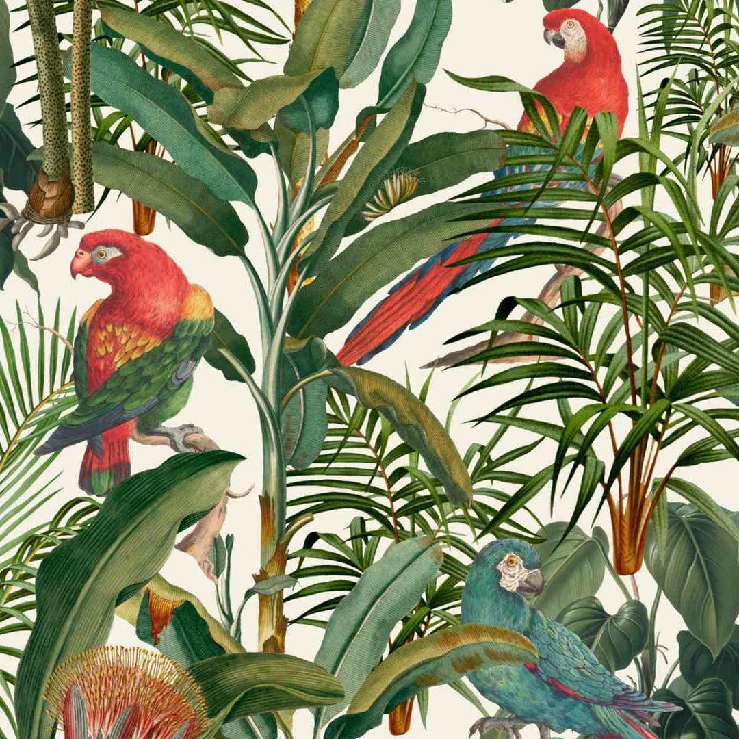 Parrots of Brasil Wallpaper - Set of 3 Rolls - MINDTHEGAP