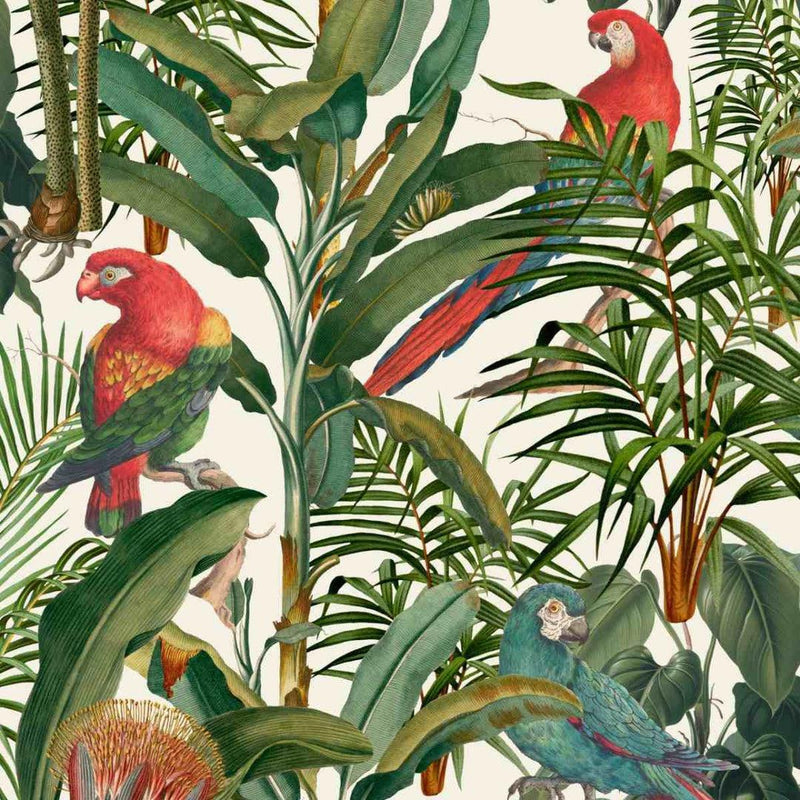 Parrots of Brasil Wallpaper - Set of 3 Rolls - MINDTHEGAP