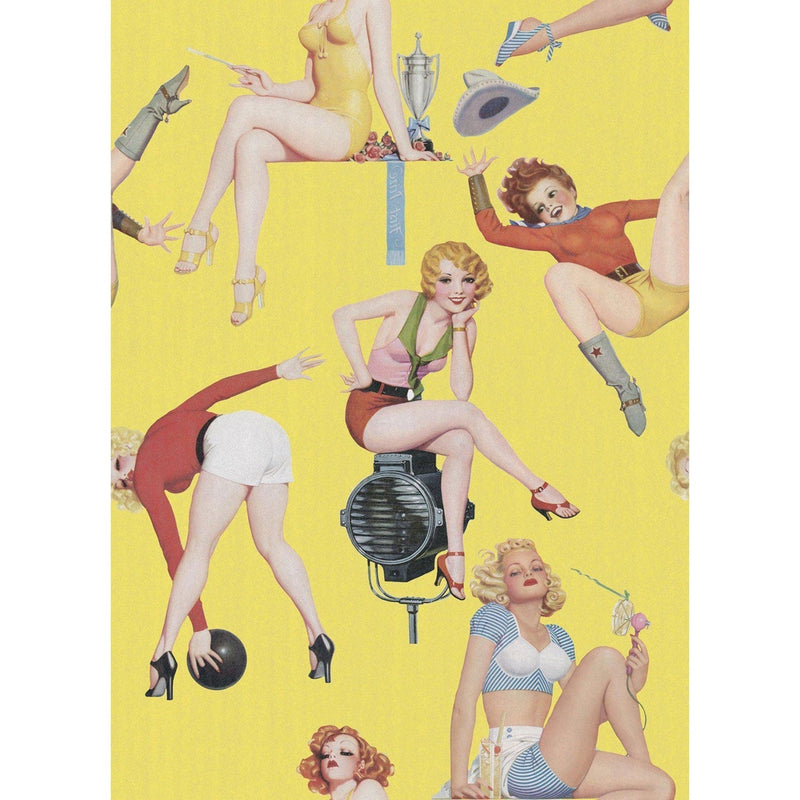 Pin-Up Girls Wallpaper - Set of 3 Rolls - MINDTHEGAP