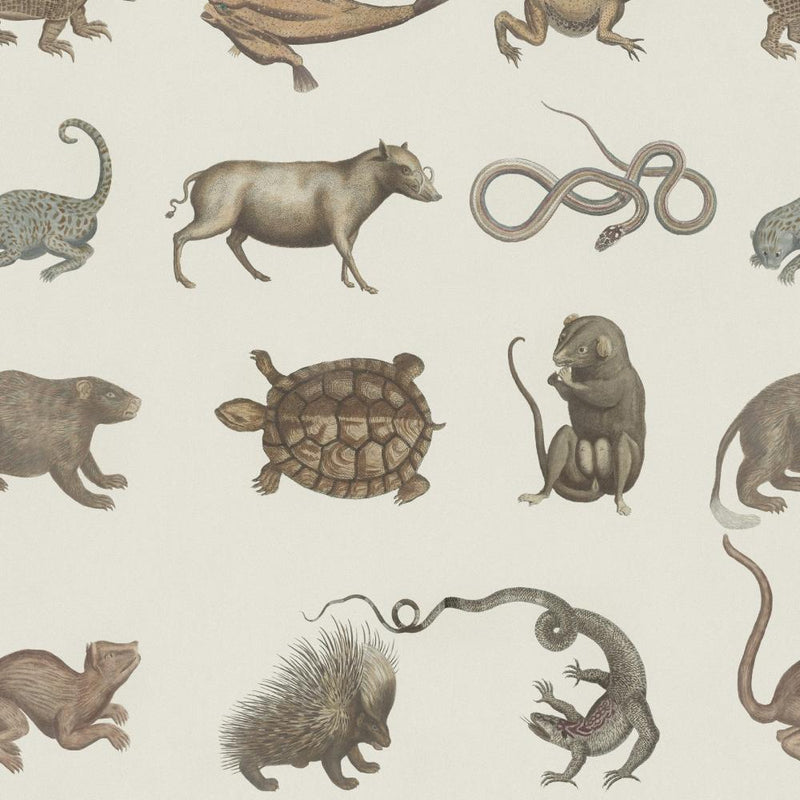 Seba's Ark Wallpaper - Set of 3 Rolls - MINDTHEGAP