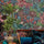 Singita Wallpaper - Ardmore Collection - Cole & Son