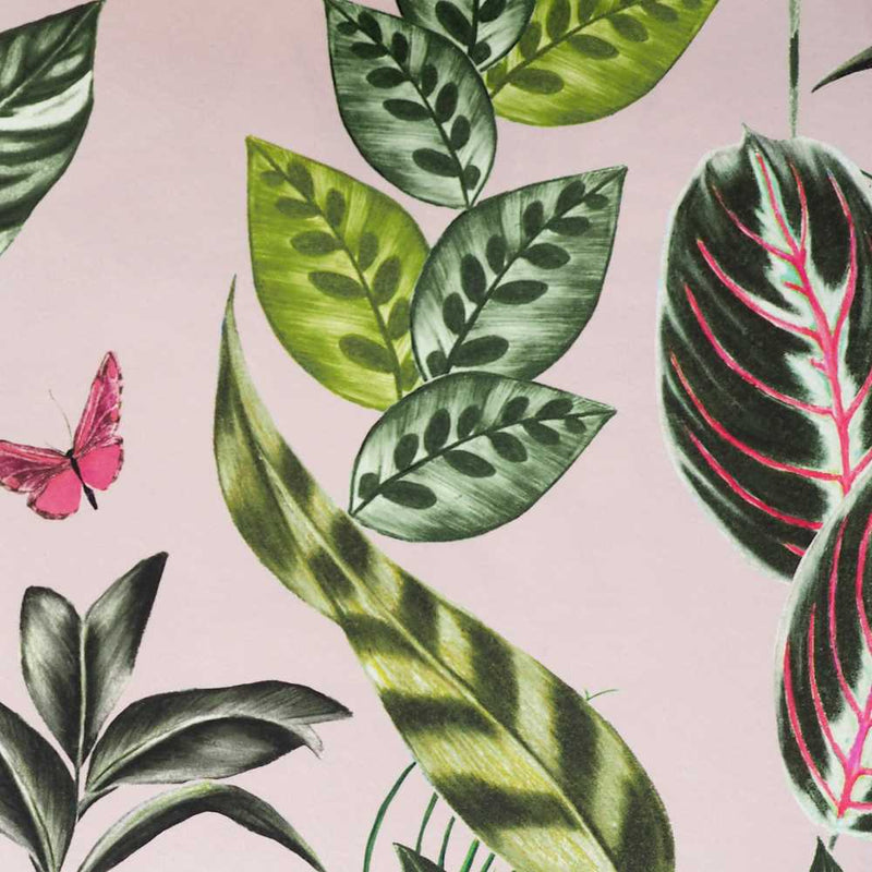 Spirit Wallpaper - Ohpopsi