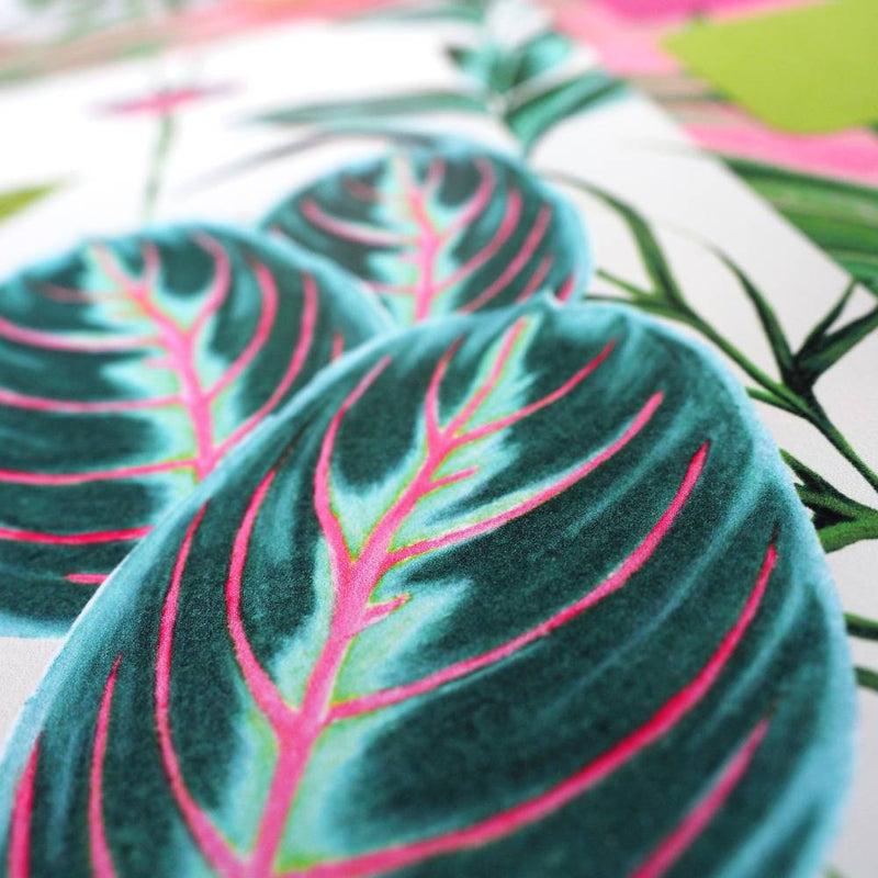 Spirit Wallpaper - Ohpopsi