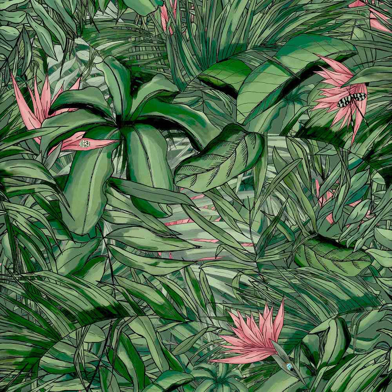 Tropical Forest Wallpaper - Dark Green & Pink - Brand Mckenzie