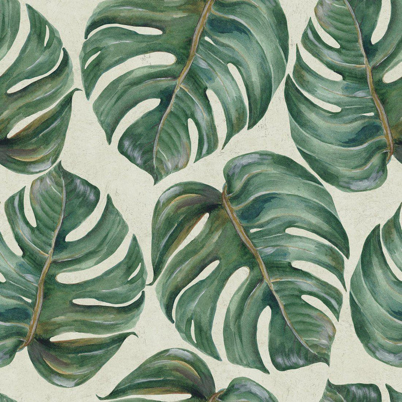 Tropical Leaf Wallpaper - Set of 3 Rolls - MINDTHEGAP