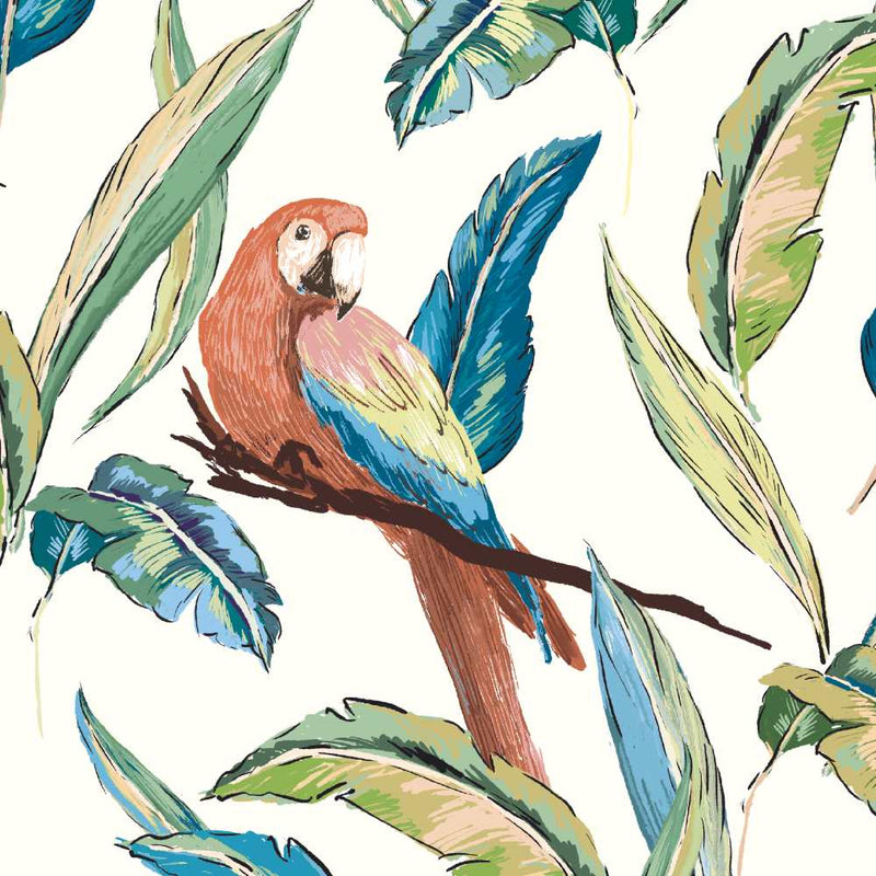 Tropical Parrot Wallpaper - Ohpopsi