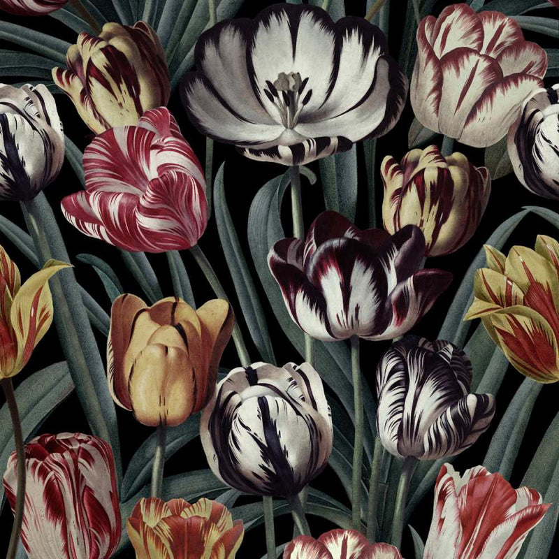 Tulipa Dark Wallpaper - Set of 3 Rolls - MINDTHEGAP