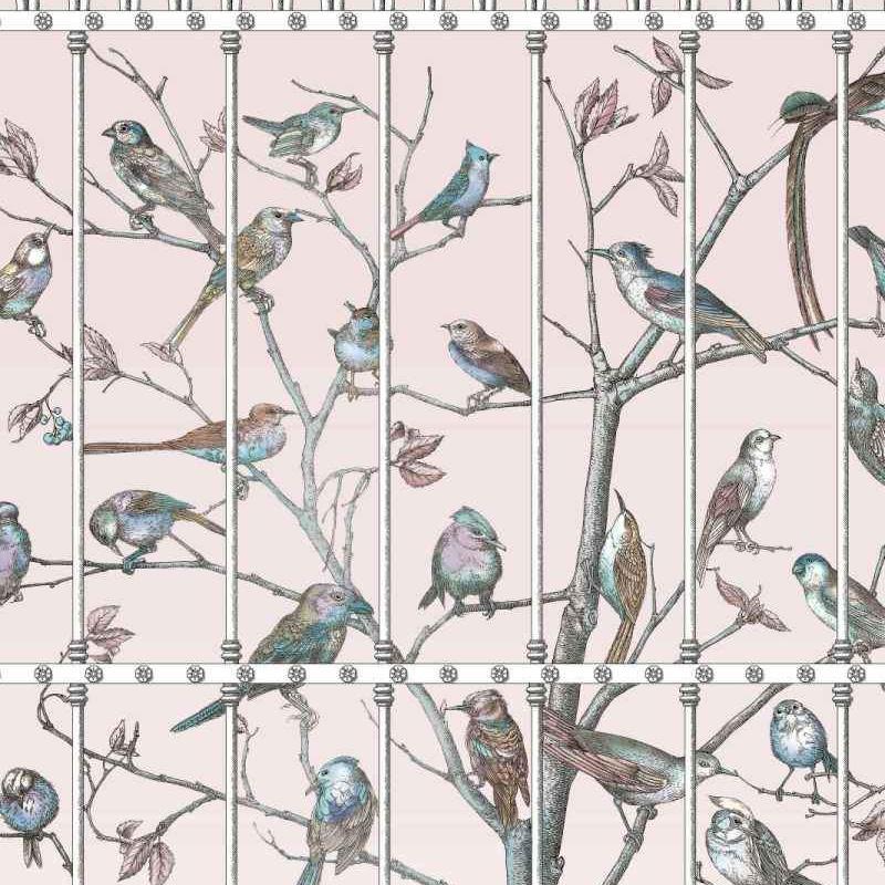 Uccelli Wallpaper - Fornasetti Collection - Cole & Son