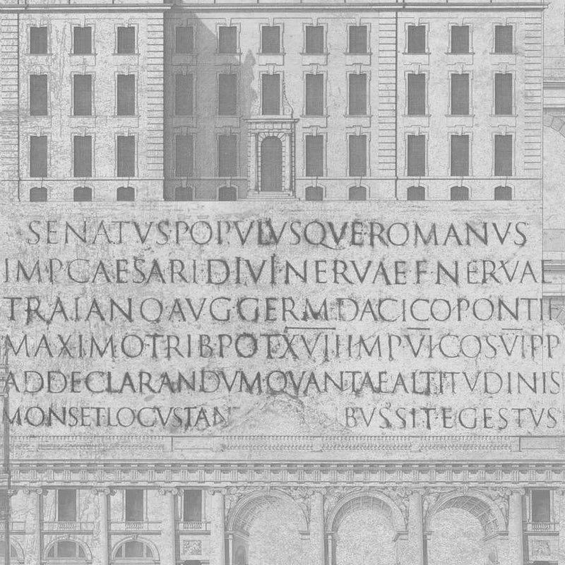 Vitruvius Wallpaper - Set of 3 Rolls - MINDTHEGAP