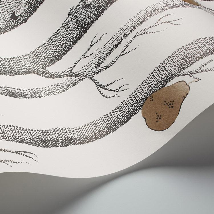 Woods & Pears Wallpaper - Contemporary Collection - Cole & Son