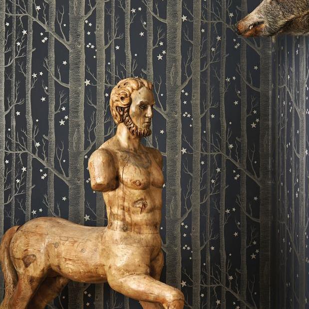 Woods & Stars Wallpaper - Whimsical Collection - Cole & Son