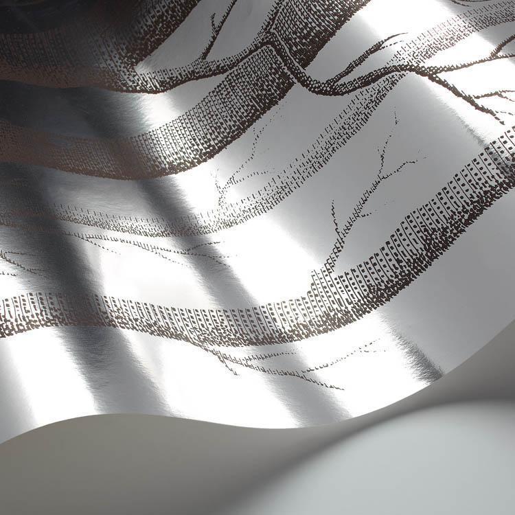 Woods Wallpaper - Contemporary Collection - Cole & Son