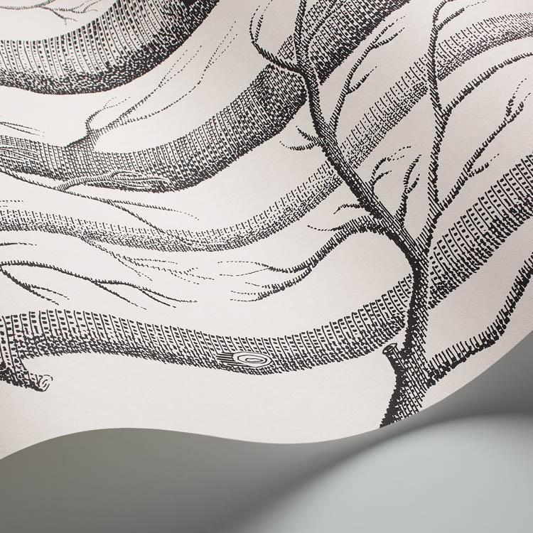Woods Wallpaper - Contemporary Collection - Cole & Son