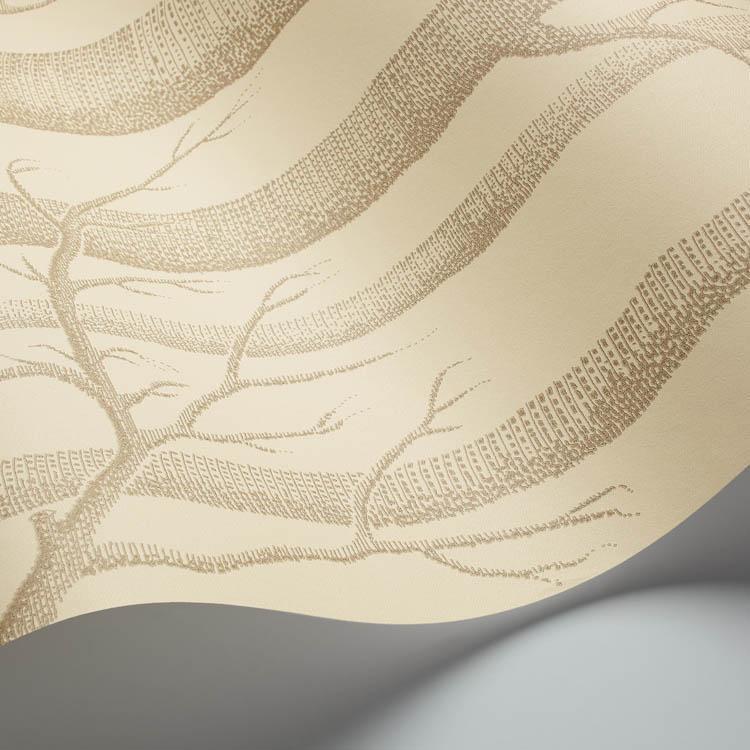 Woods Wallpaper - Contemporary Collection - Cole & Son