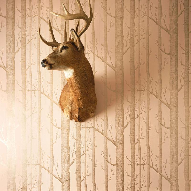 Woods Wallpaper - Whimsical Collection - Cole & Son