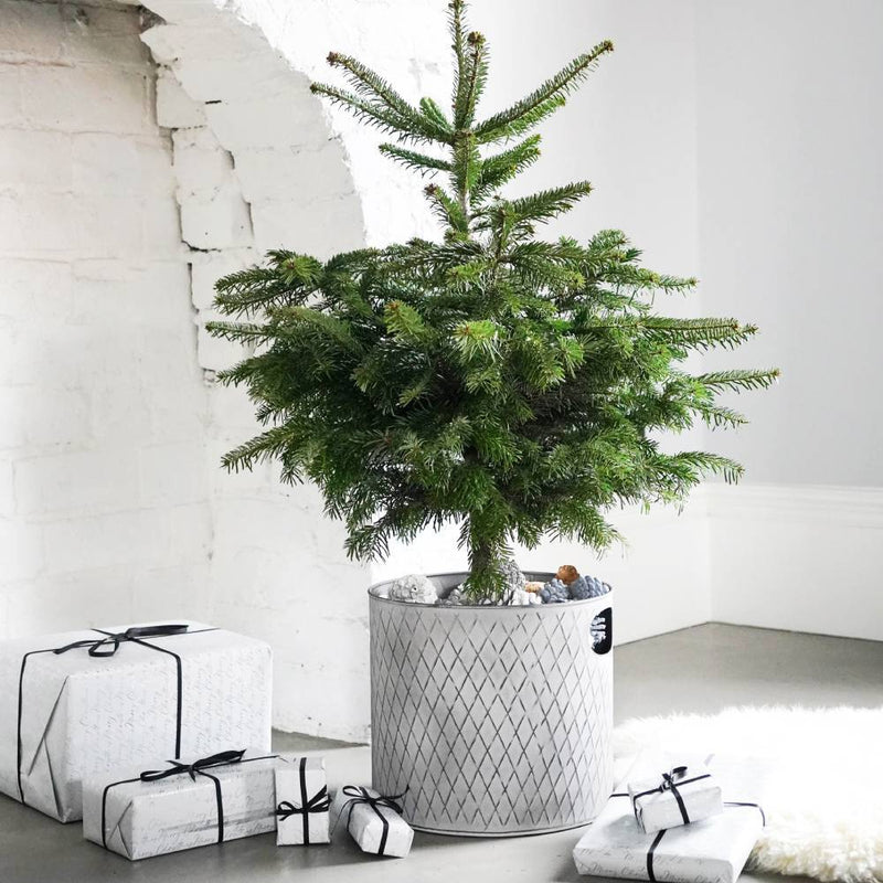 Zinc Indoor Christmas Tree Bucket