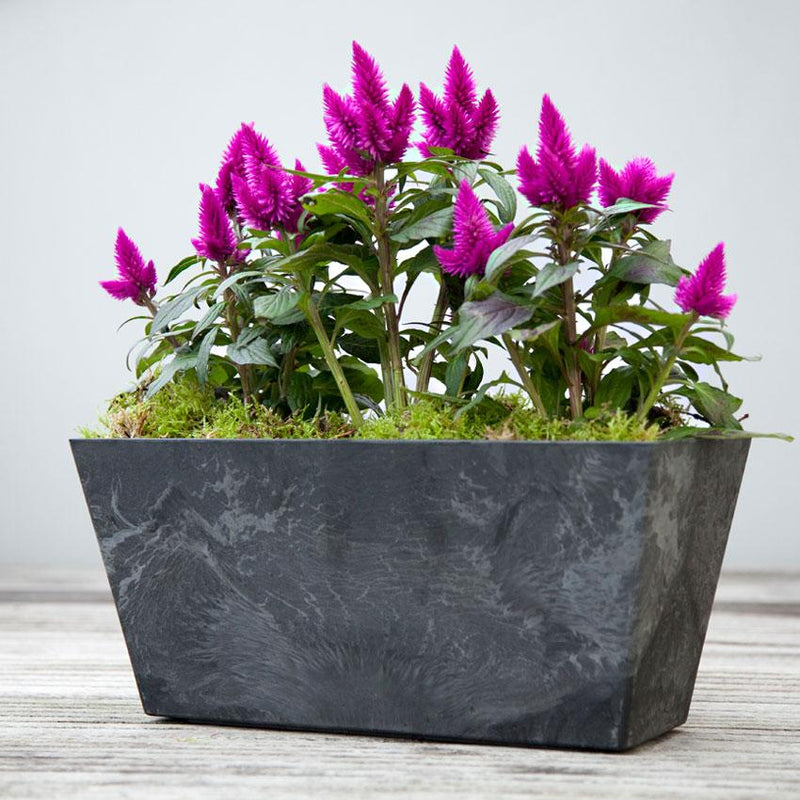Artstone Planter Trough - Black