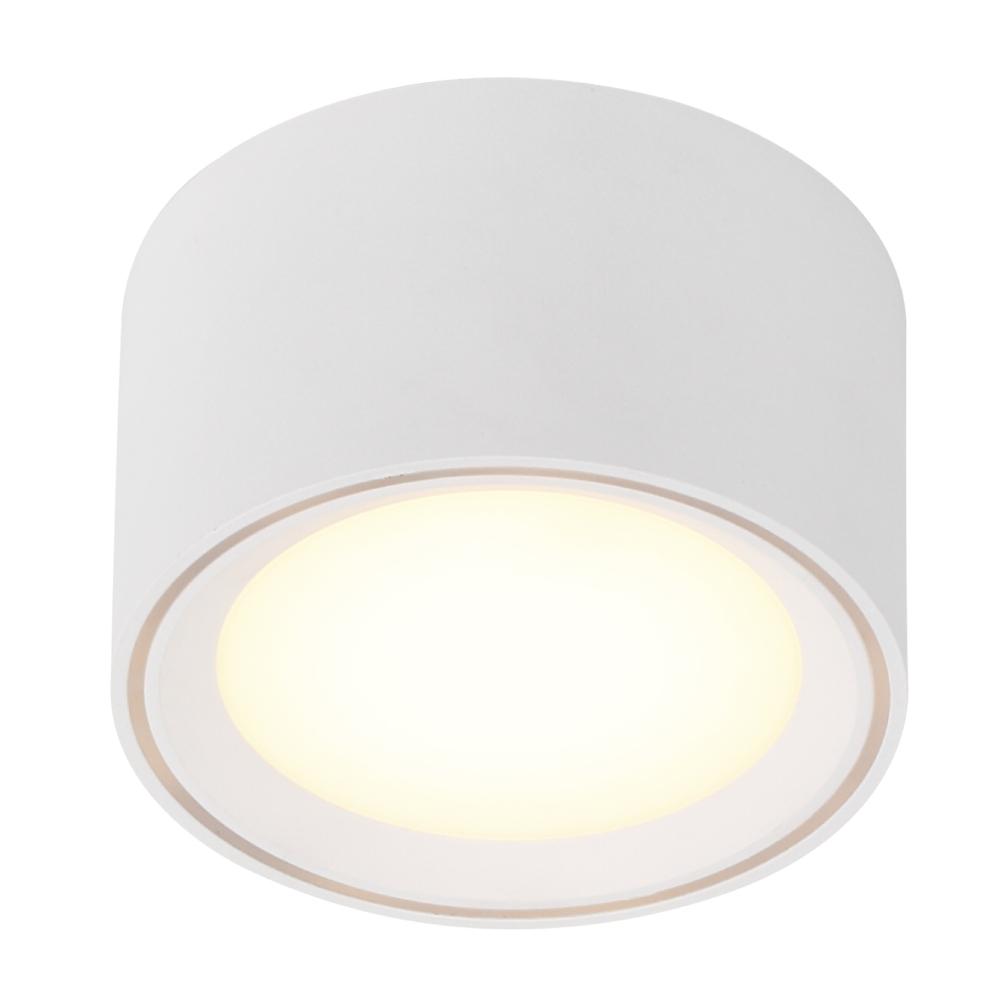 Fallon LED Downlight with 4-Step MoodMaker - White