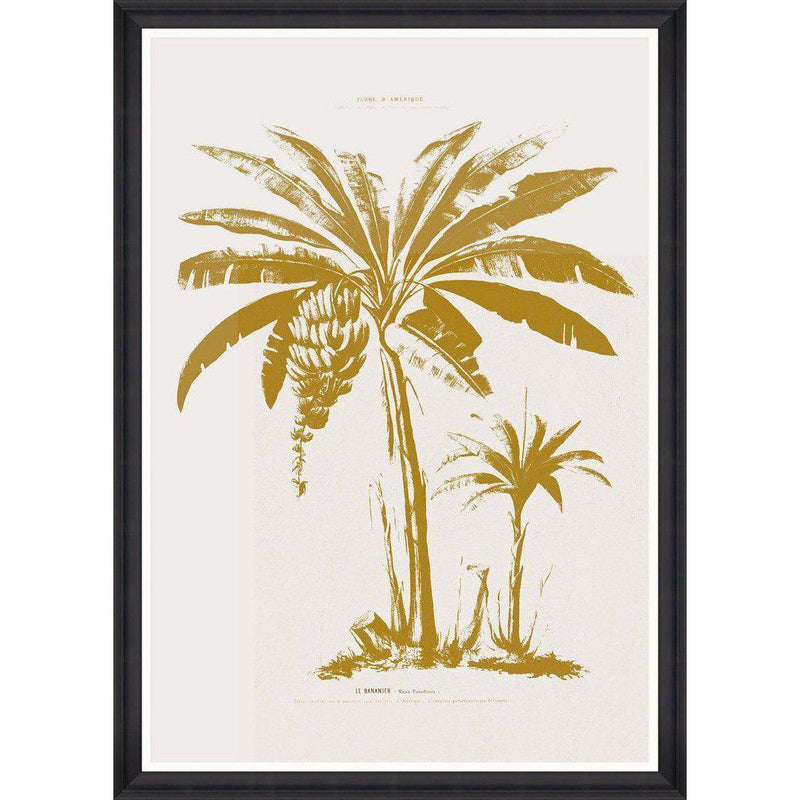 Le Bananier Framed Wall Art - MINDTHEGAP