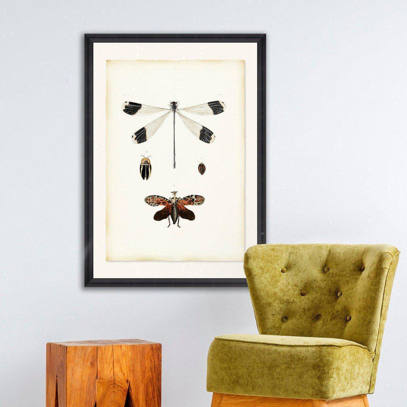 Libellula Framed Wall Art - MINDTHEGAP