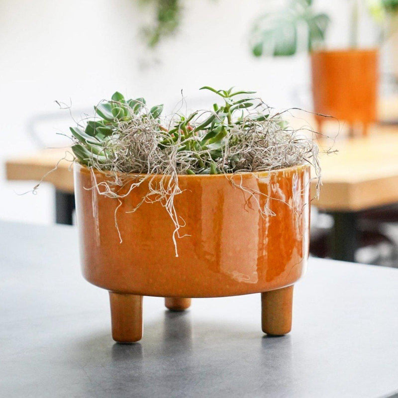 Mustard Tripod Bowl Plant Pot