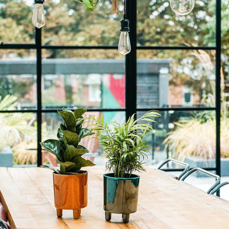 Mustard Tripod Plant Pot