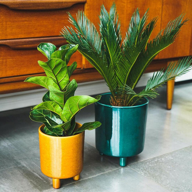 Mustard Tripod Plant Pot