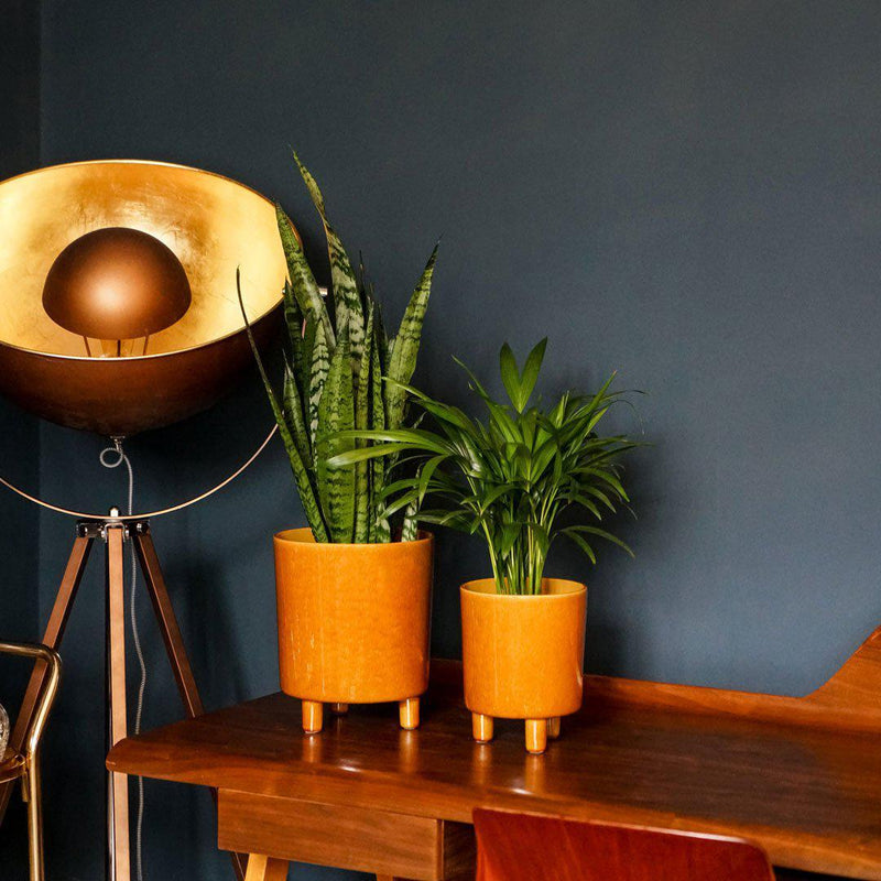 Mustard Tripod Plant Pot