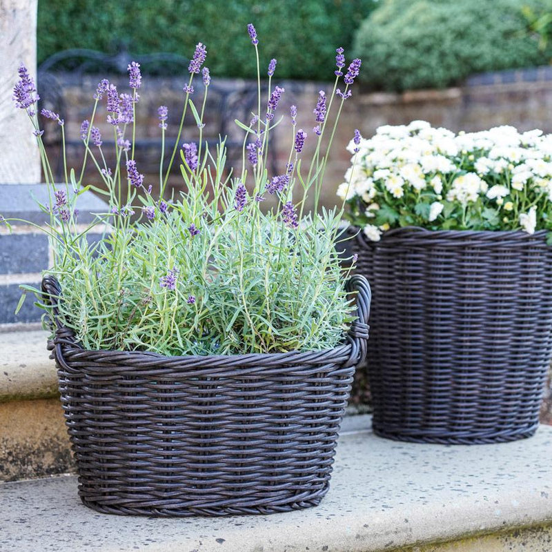 Polyrattan Lined Willow Basket
