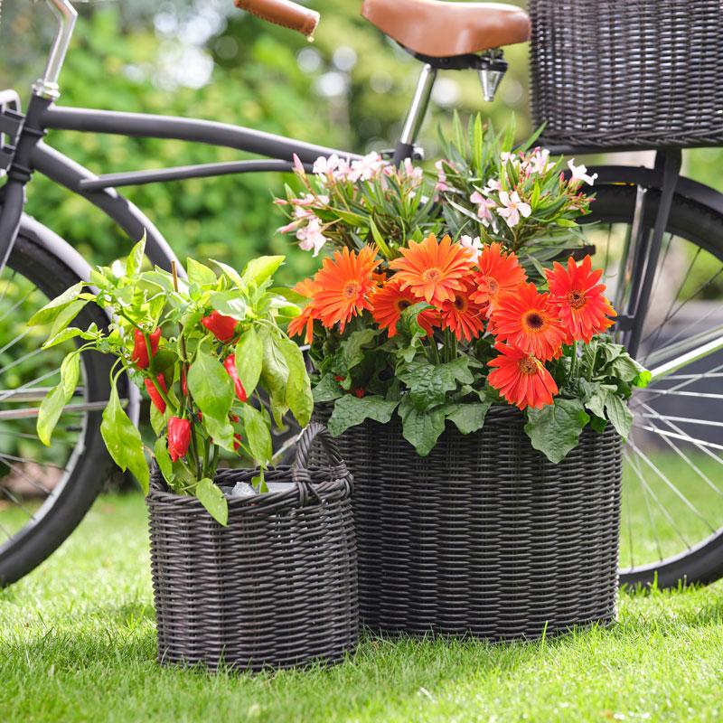 Polyrattan Lined Willow Planter - Set of 2